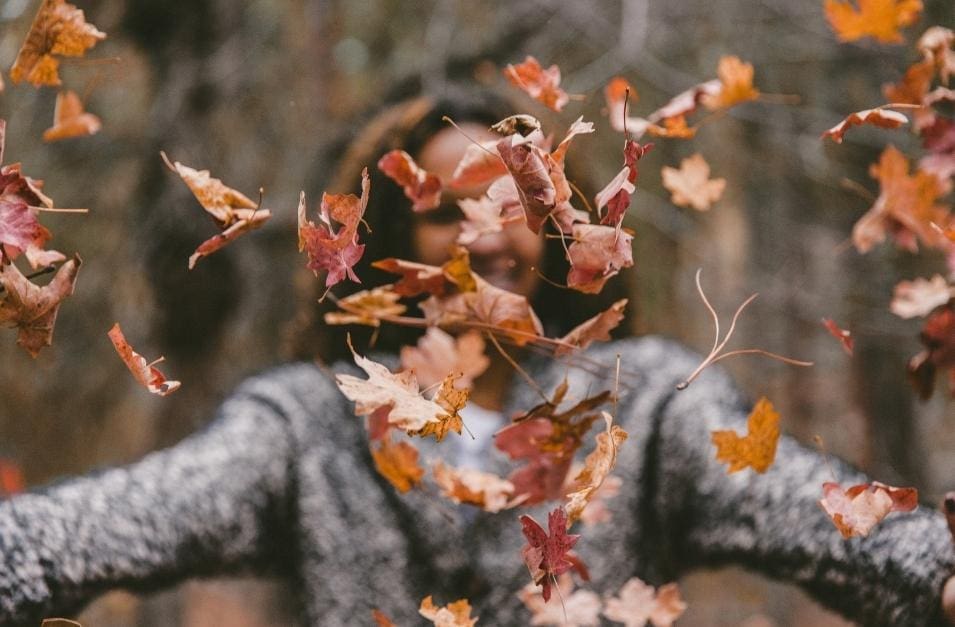 Leaves Falling Abundantly