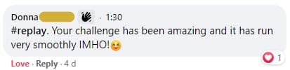 Donna-run-smoothly Donna Comment - Money Challenge Run Smoothly